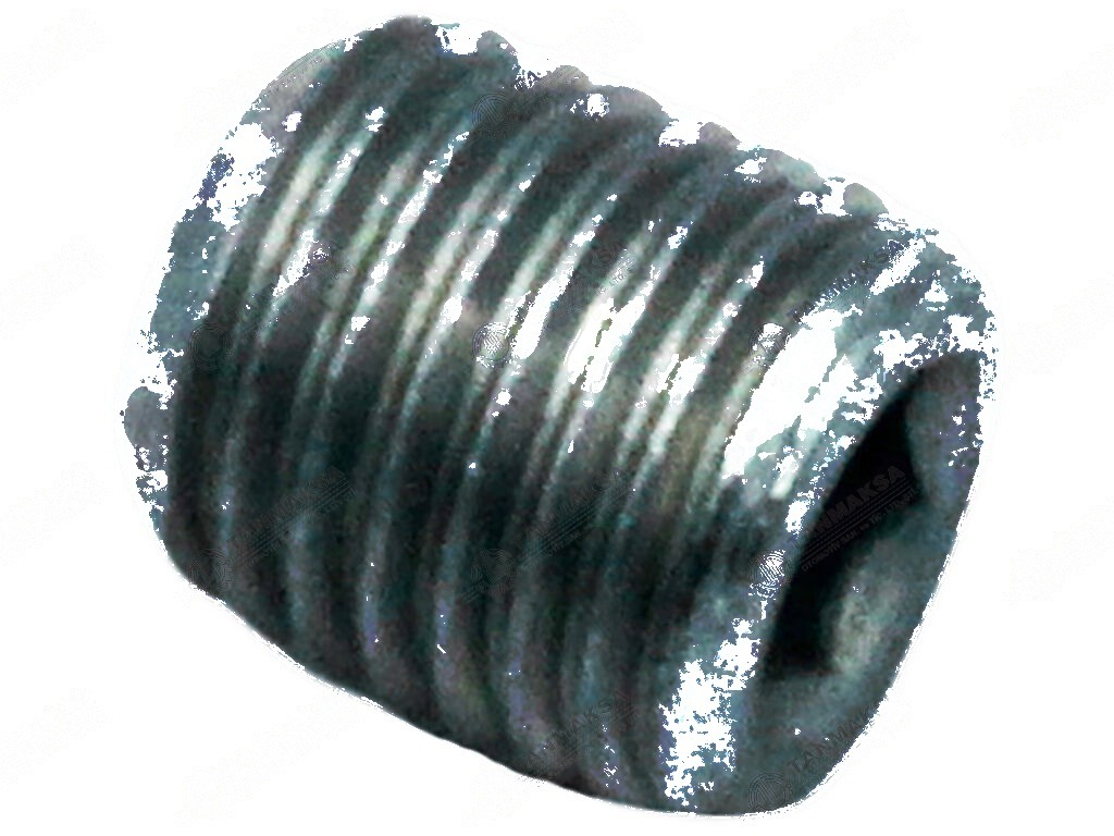Tapekê Avê Motorê Fiat (10x1.5 mm)