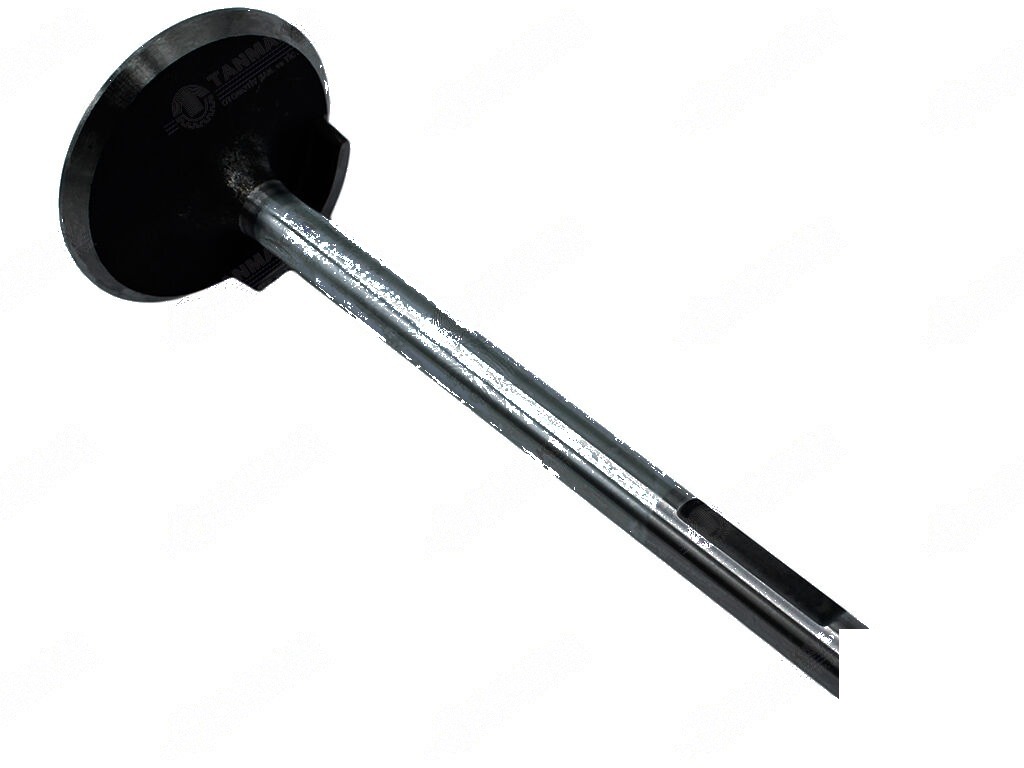 Fiat 450-480-640 Inlaatsklep STD 2