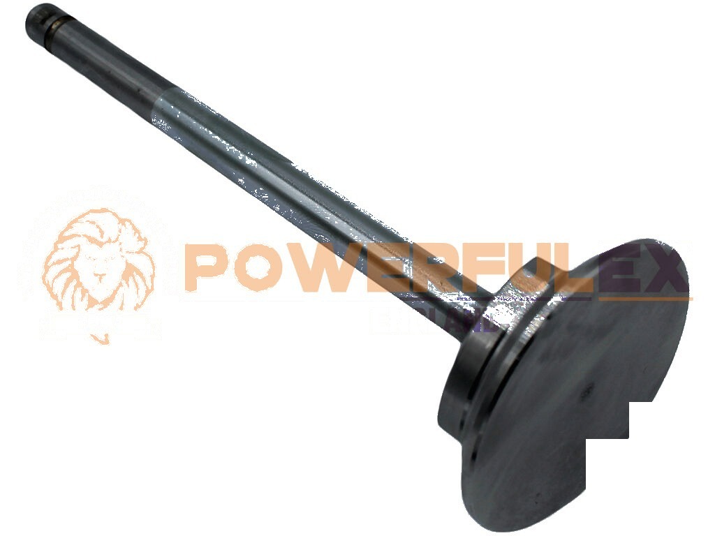 Fiat 450-480-640 Inlaatsklep STD