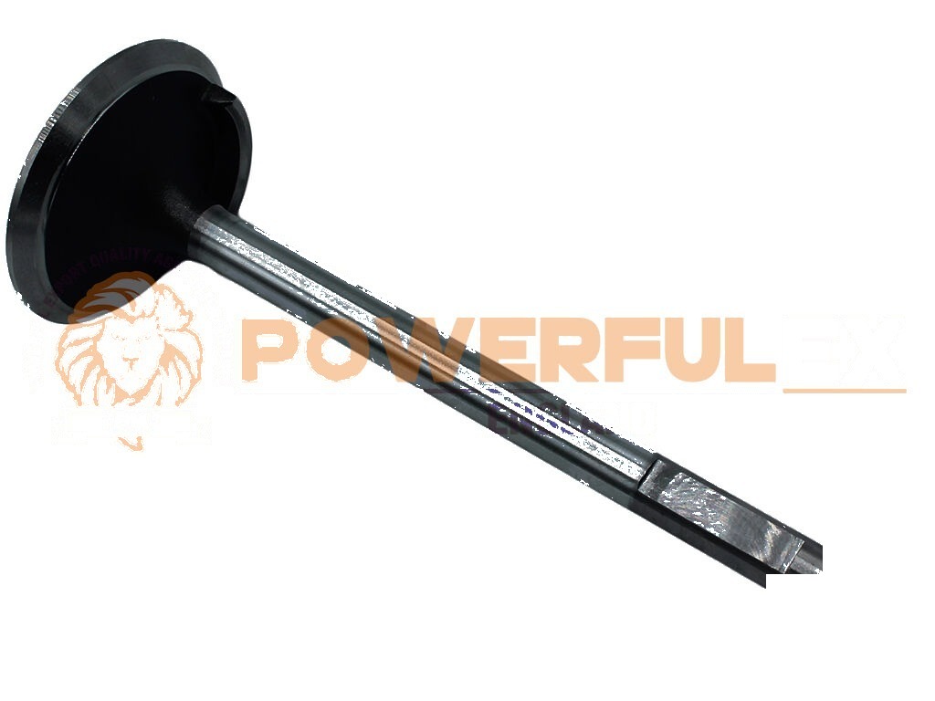 Fiat 450-480-640 Inlaatsklep STD 2
