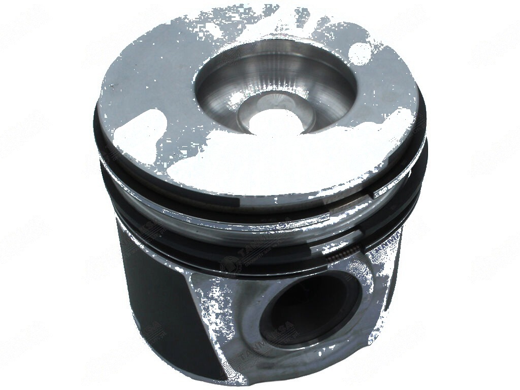 Fiat TS110-TC56 Piston Segmanı
