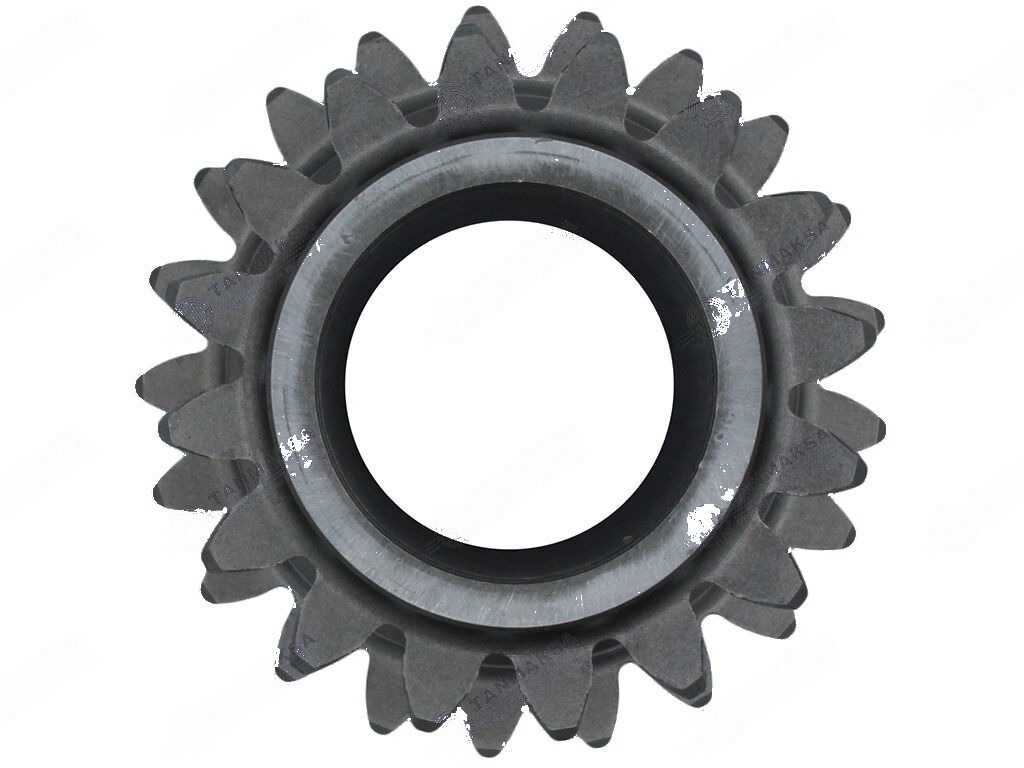 540-70/56 Prizdirek Dişlisi 3