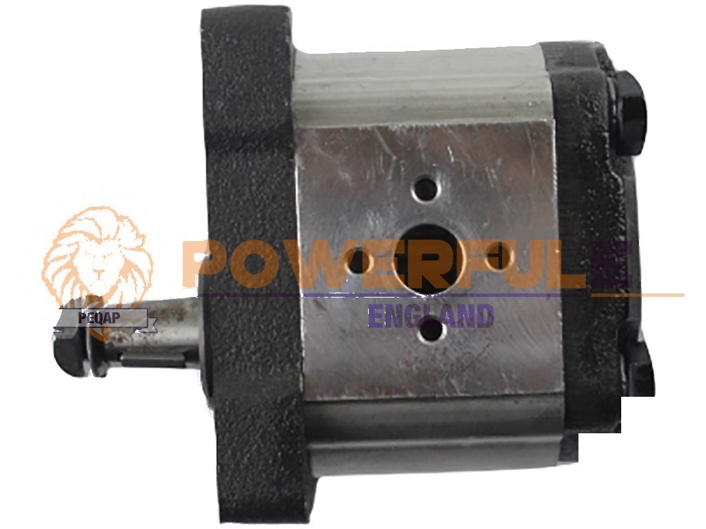 Fiat 640 Hydraulische Pomp 3