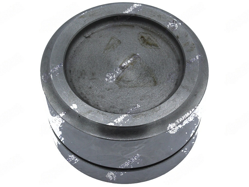80/66-TD Series Hydraulic Piston