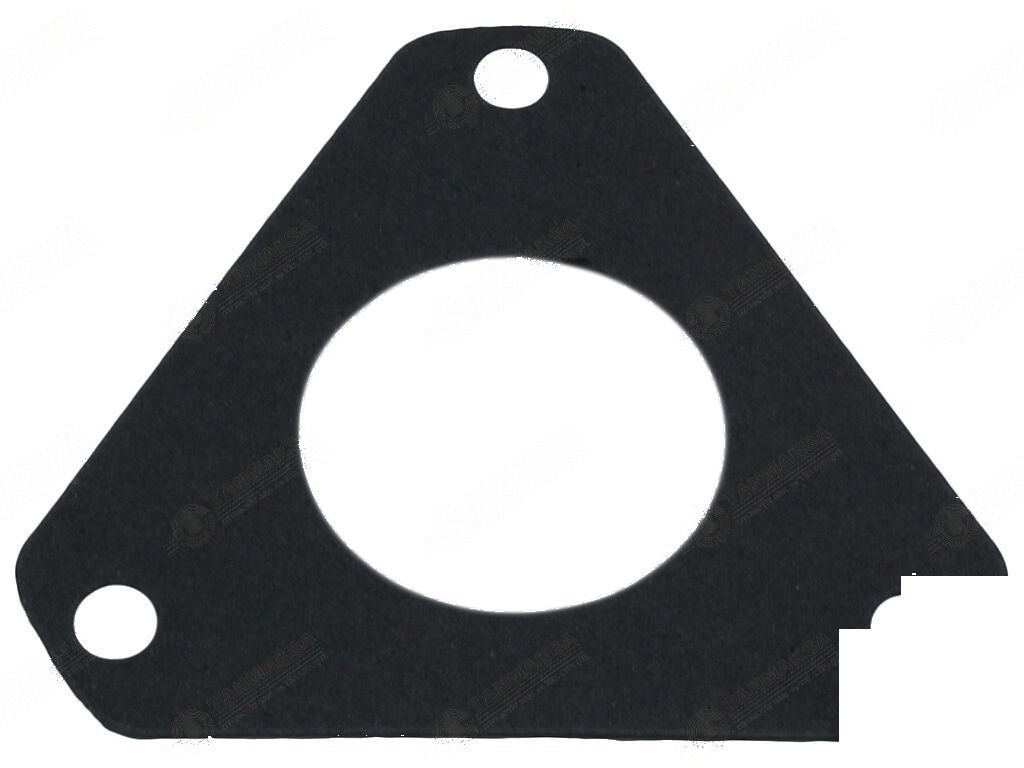 480-80/66 Mazot Pompa Conta 2