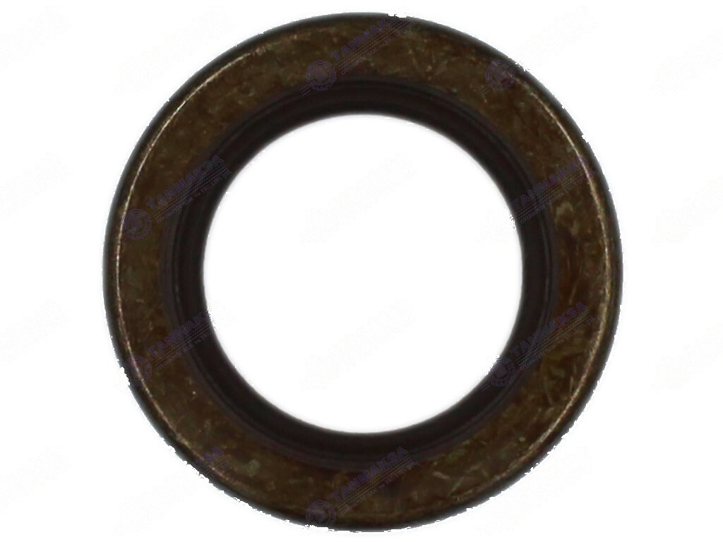 480-55/46 Krank Ön Keçe (Viton) 3