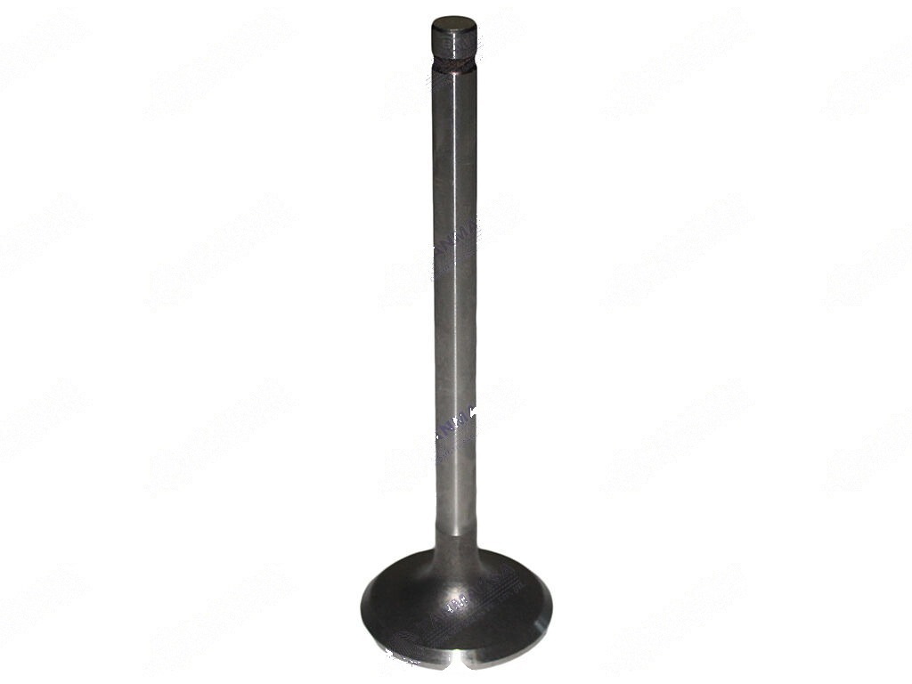 3000-5000 Motor Subabı Emme STD