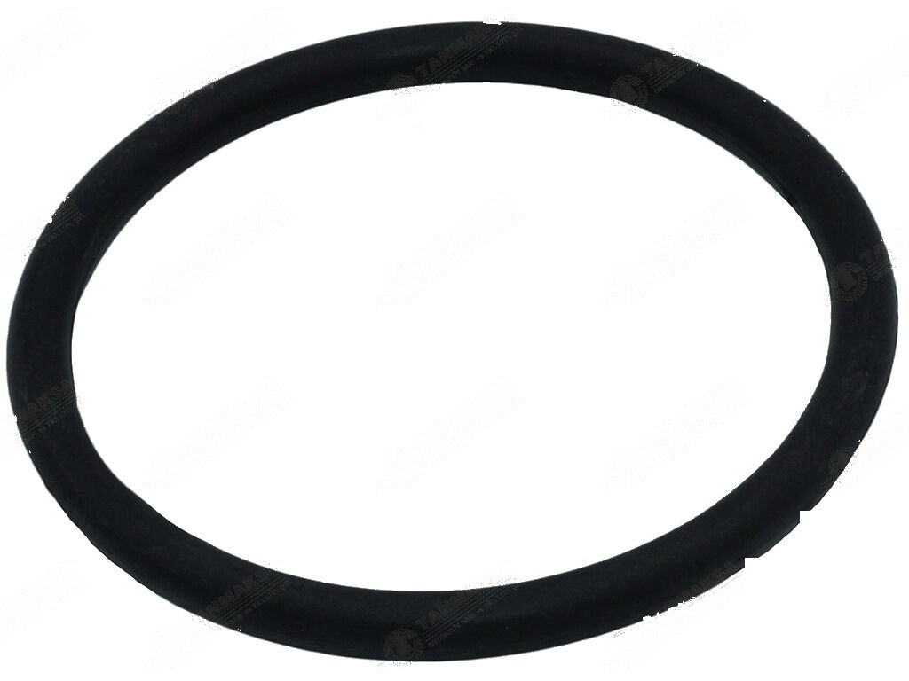 3000-3600 Hydraulische Piston O-ring 2