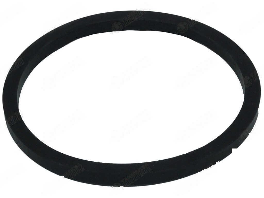 Ford 3000-3600 Hydraulic Shaft Seal 2