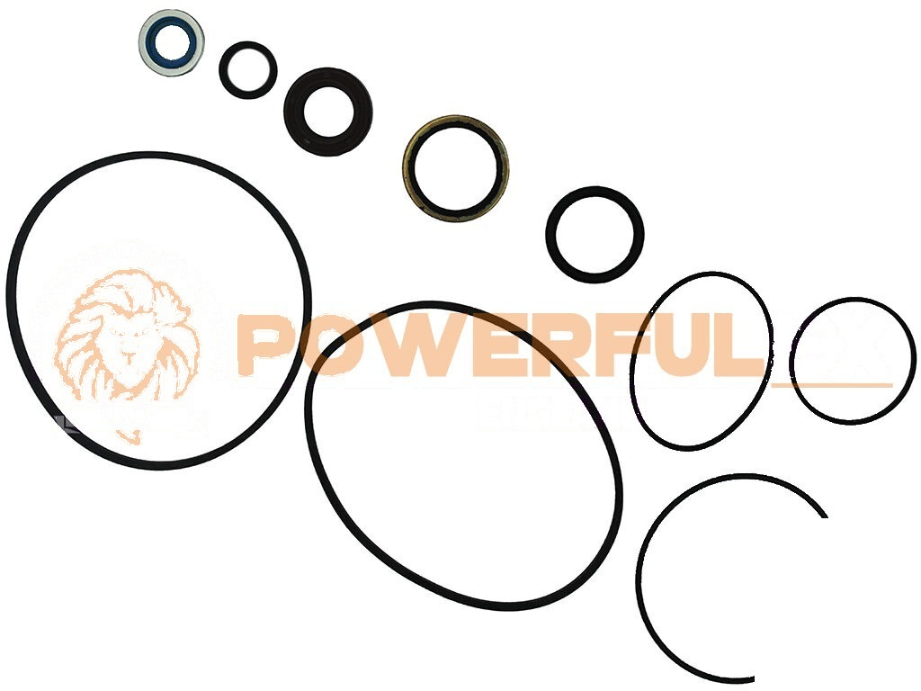 5000 Hydraulic Pump Repair Kit 3