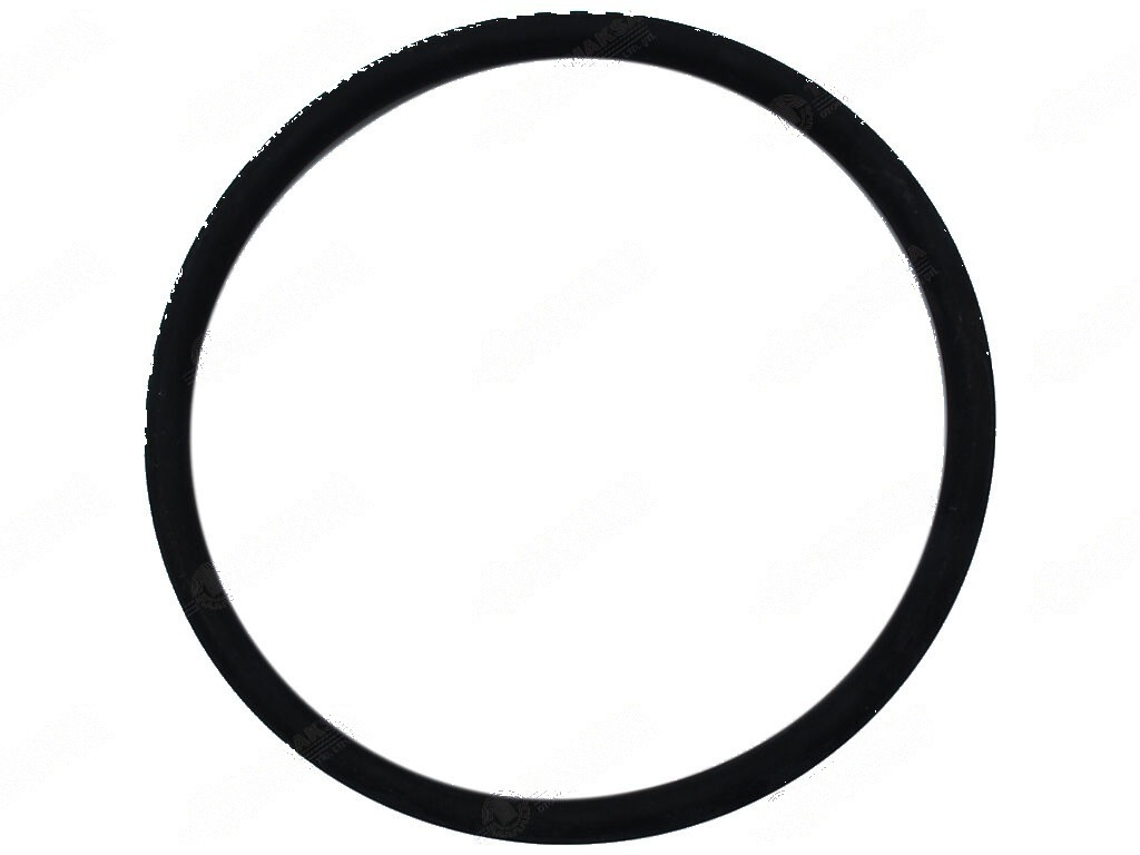 5000 Hydraulic Piston Seal 3