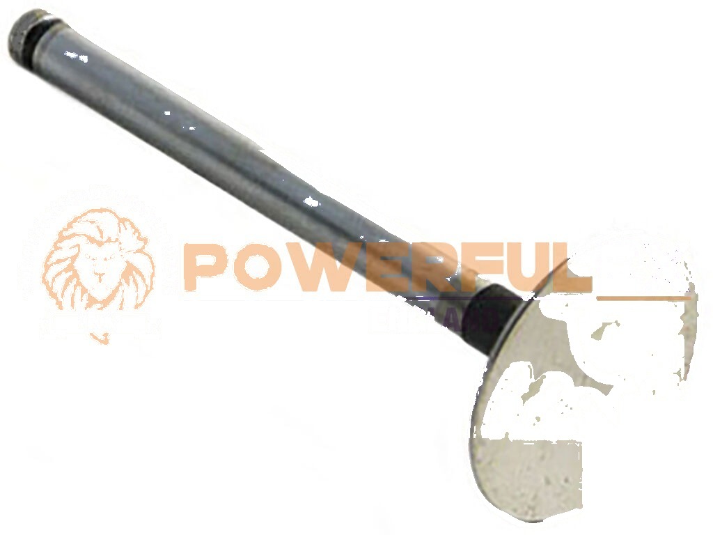 Phaser Intake Valve STD