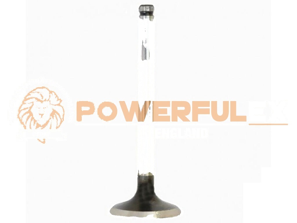 Phaser Exhaust Valve STD