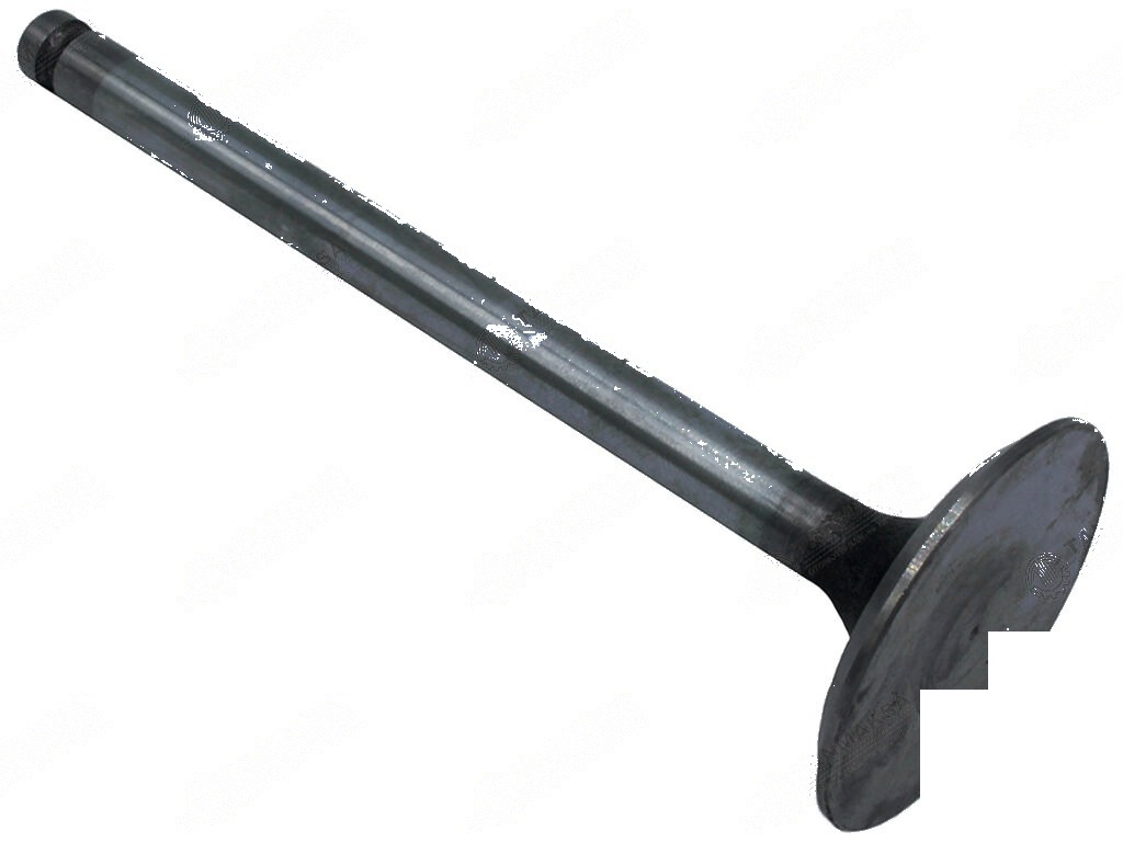 Massey Ferguson 255T Intake Valve