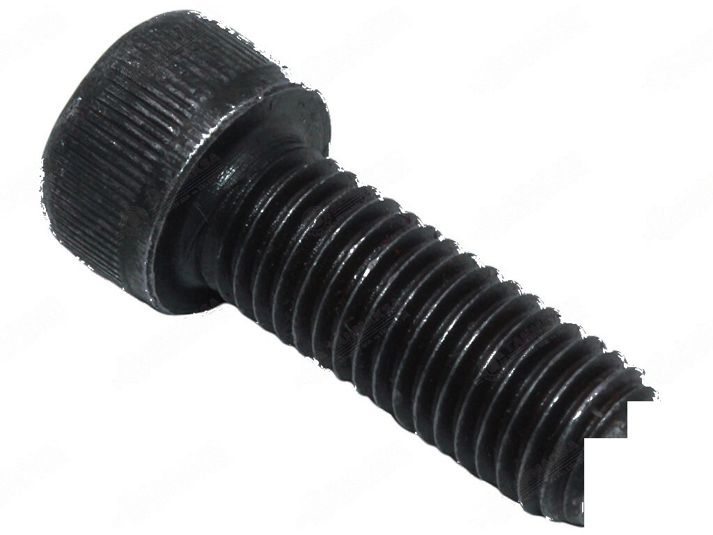Massey Ferguson 165-185 Zahnradschraube 2