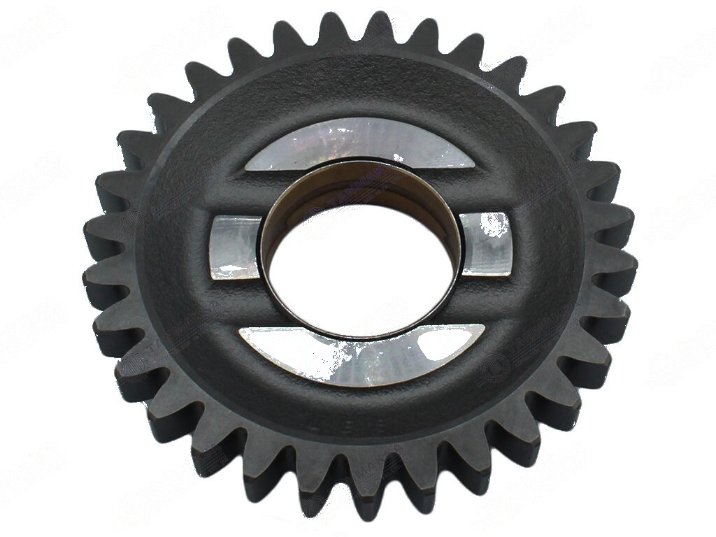 Massey Ferguson Tavşan Dişlisi 2