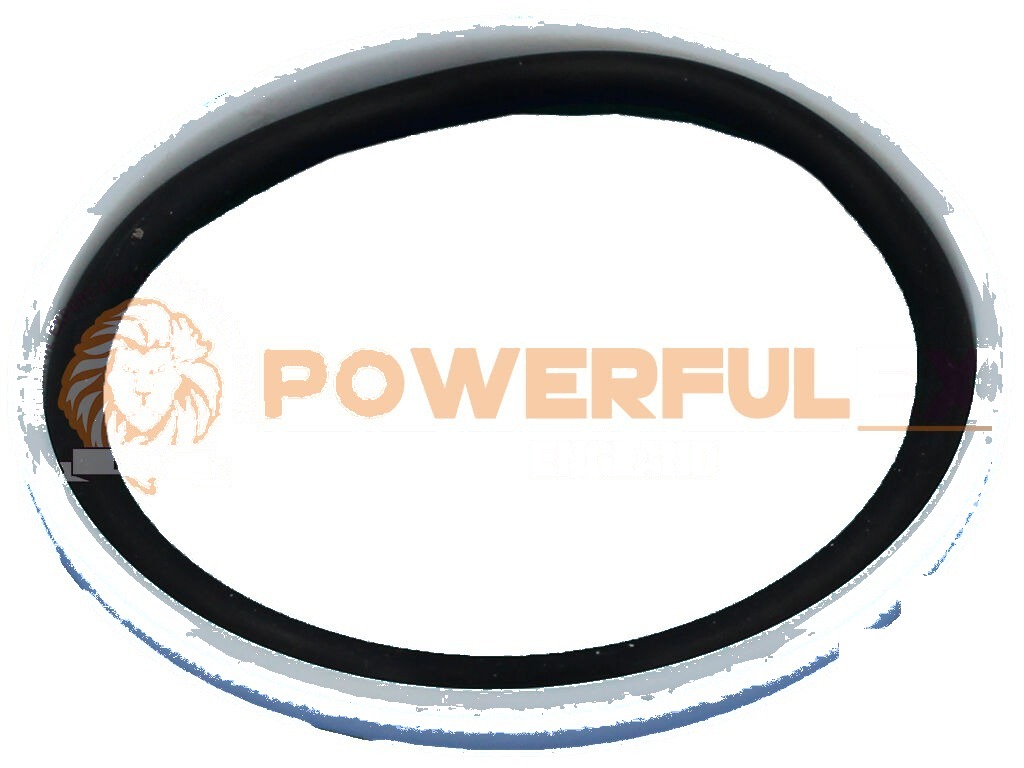 398-3105 Hidrolik Piston Takımı