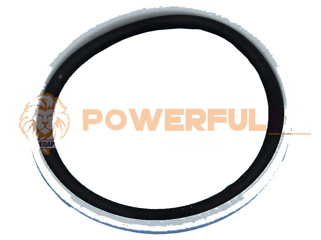 398-3105 Hidrolik Piston Takımı 2