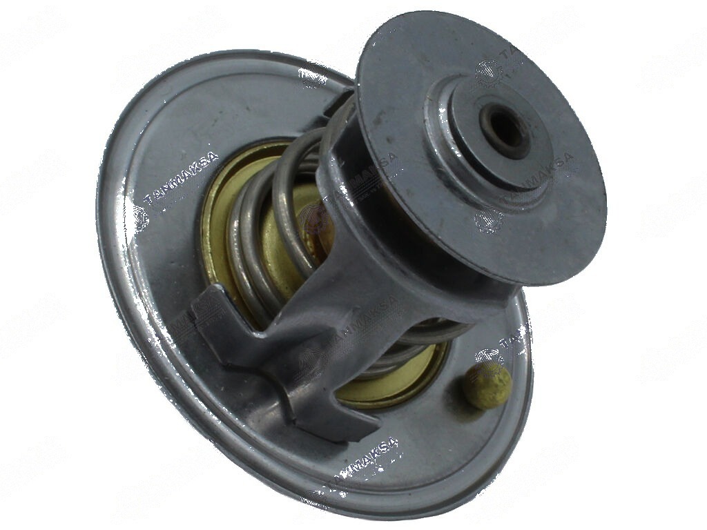 Fiat-MF-Ford Termostat 60°C 2