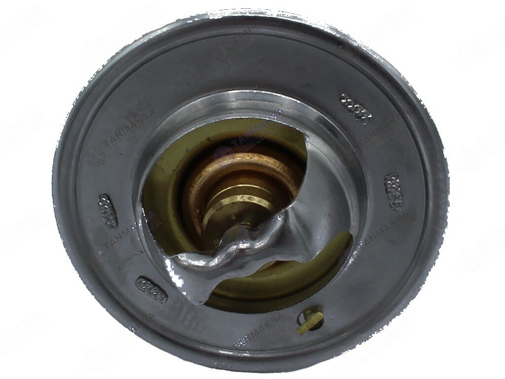 Fiat-MF-Ford Termostat 60°C 3