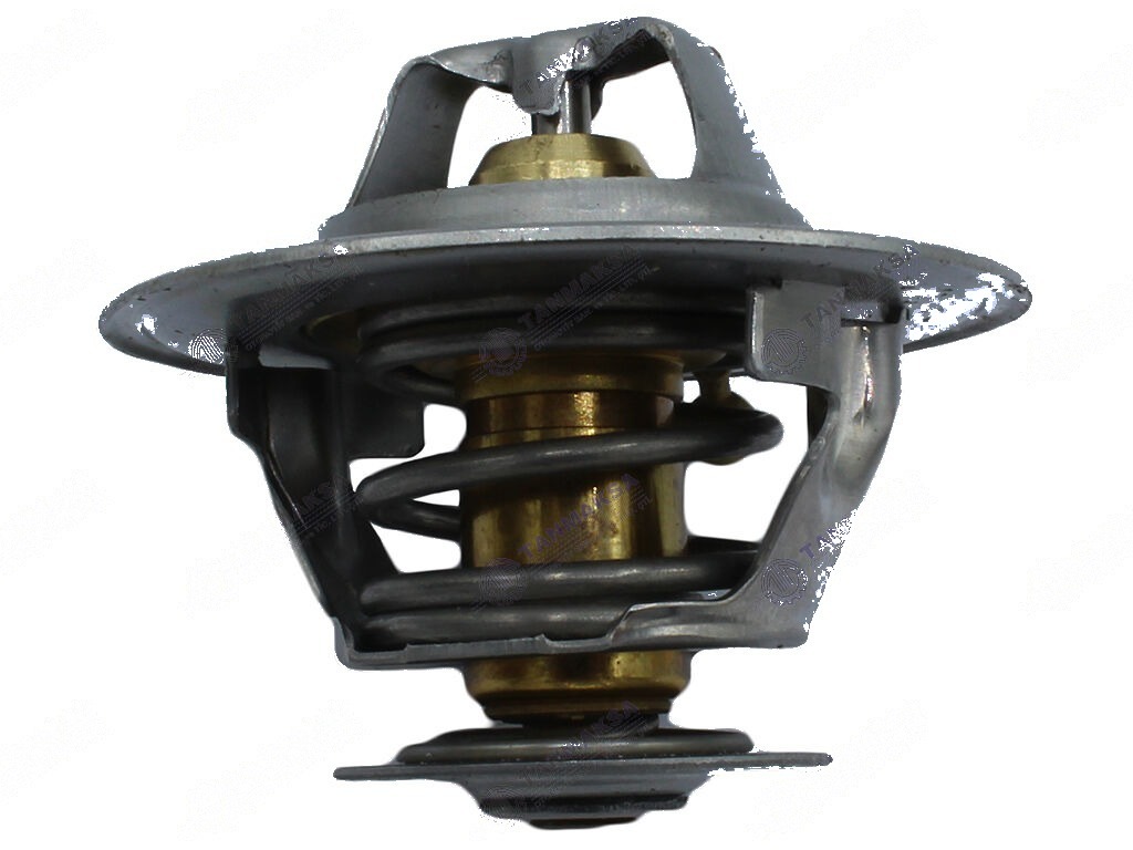 Fiat-MF-Ford Termostat 74°C