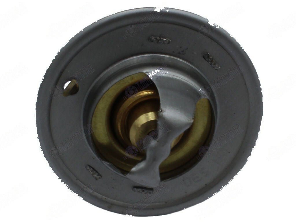 Fiat-MF-Ford Termostat 74°C 3