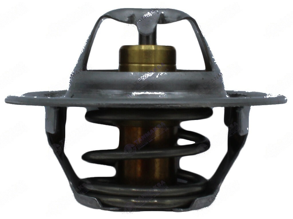Fiat-MF-Ford Termostat 82°C