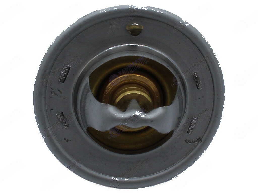 Fiat-MF-Ford Termostat 82°C 3