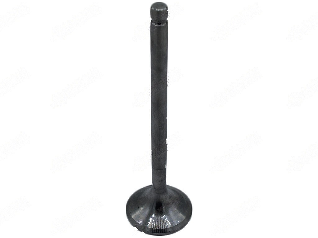 8073 Motor Subabı Emme