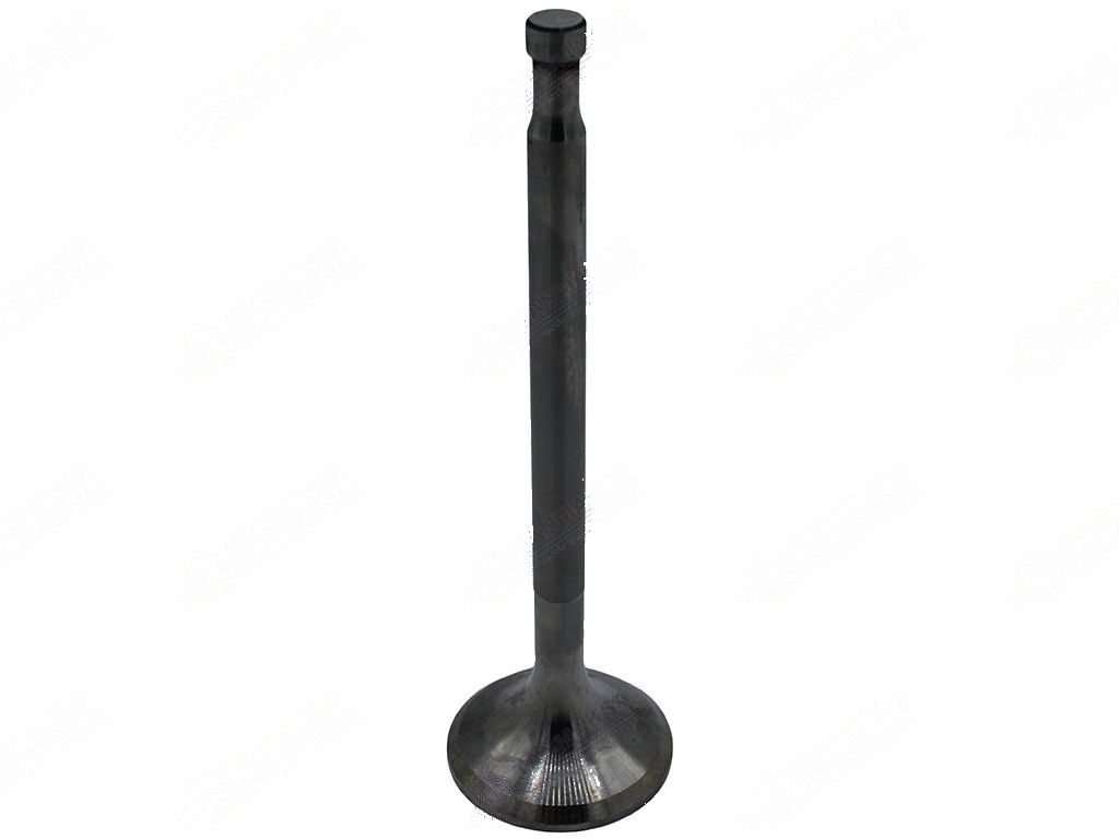 768 Motor Subabı Emme