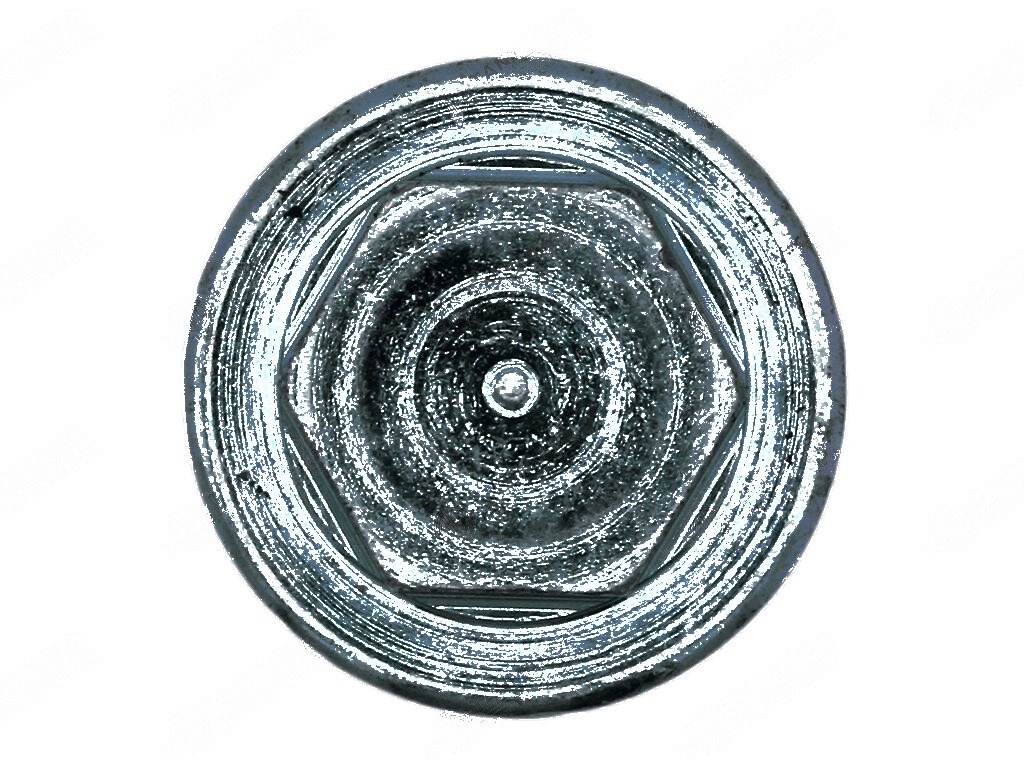 Steyr 768-8073 Karter Yağ Tapası Mıknatıslı 3