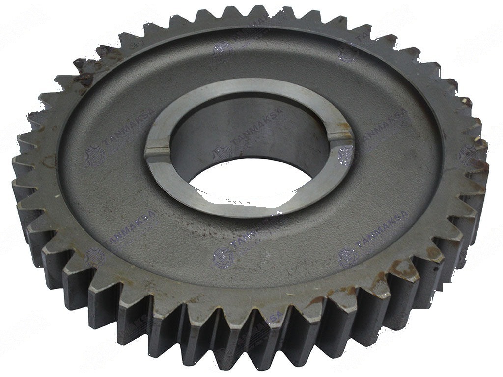 8073 S 1. گەڕەکی گەورە (44 دندانه) 2