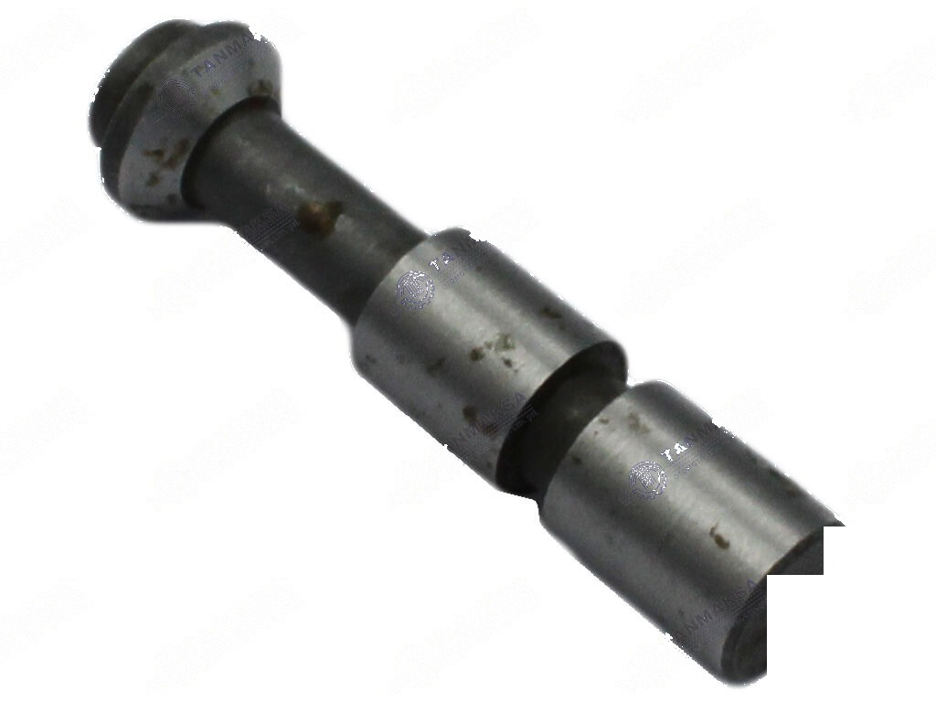 Steyr Hydraulische Brein Piston 2