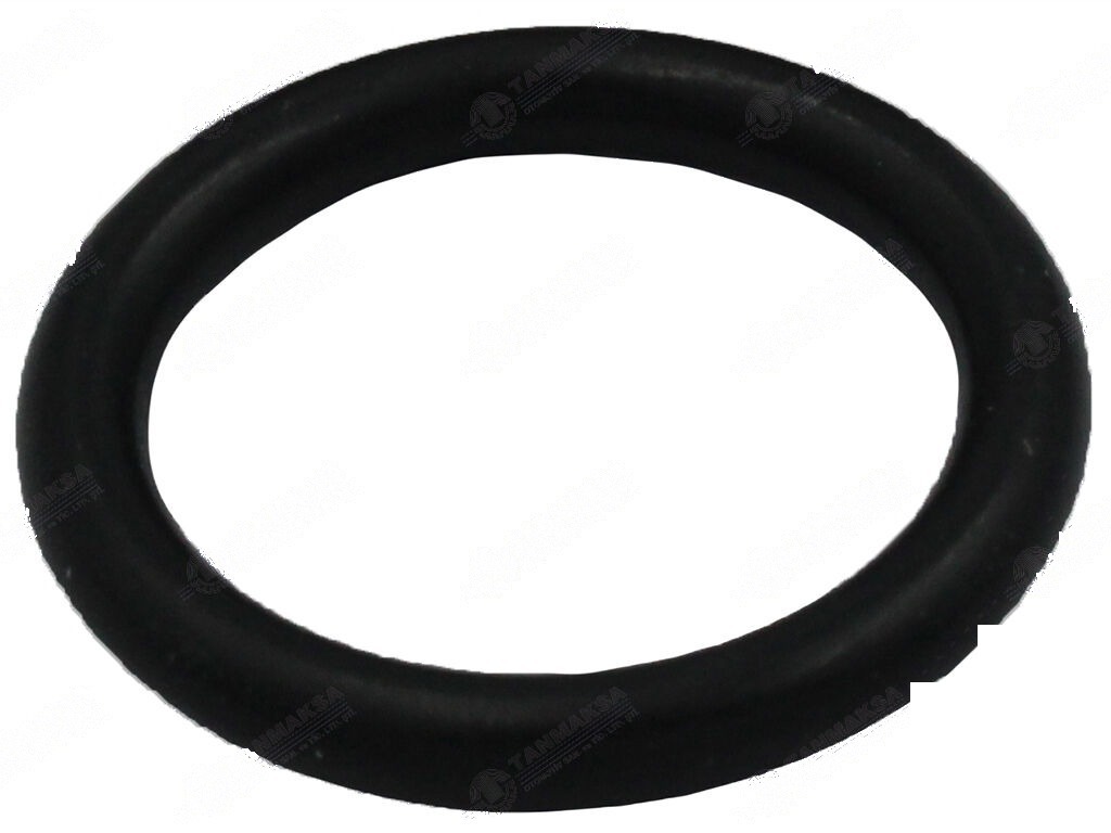 Steyr 768-8073 Enjektör Lastiği 2