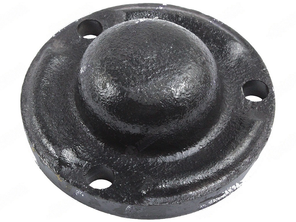 Steyr 768-8073 Ön Teker Porya Kapağı
