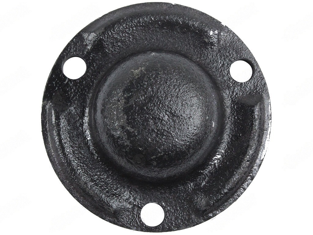Steyr 768-8073 Ön Teker Porya Kapağı 3