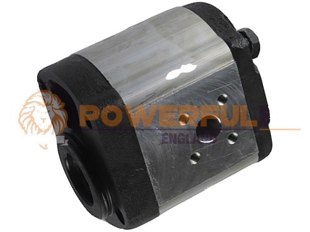 768-8073 Hydraulische Pomp 2