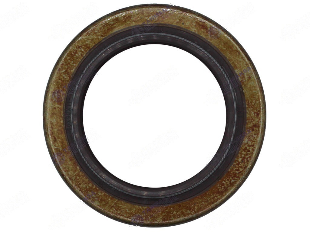 Tümosan Mahruti Keçesi (Viton) 3