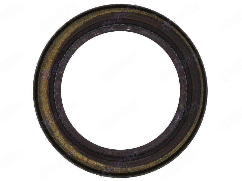 Tümosan Mahruti Keçesi (Viton) 3